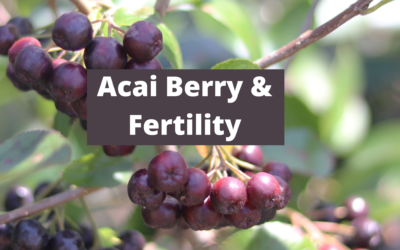 Does Açaí  Berry Help with Fertility?
